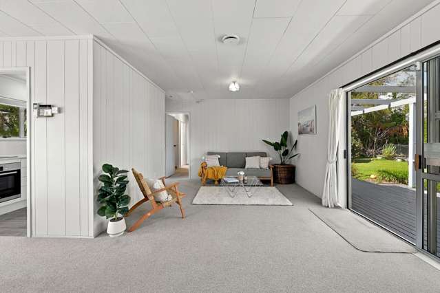 4 Diamond Street Pukehangi_4