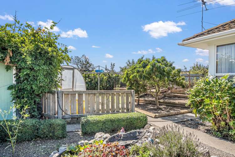 21 Montrose Avenue Culverden_27