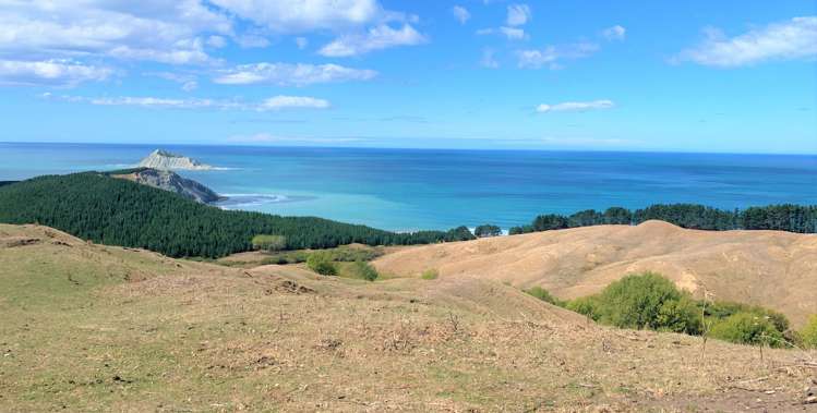 399 Te Apiti Road Waimarama_5