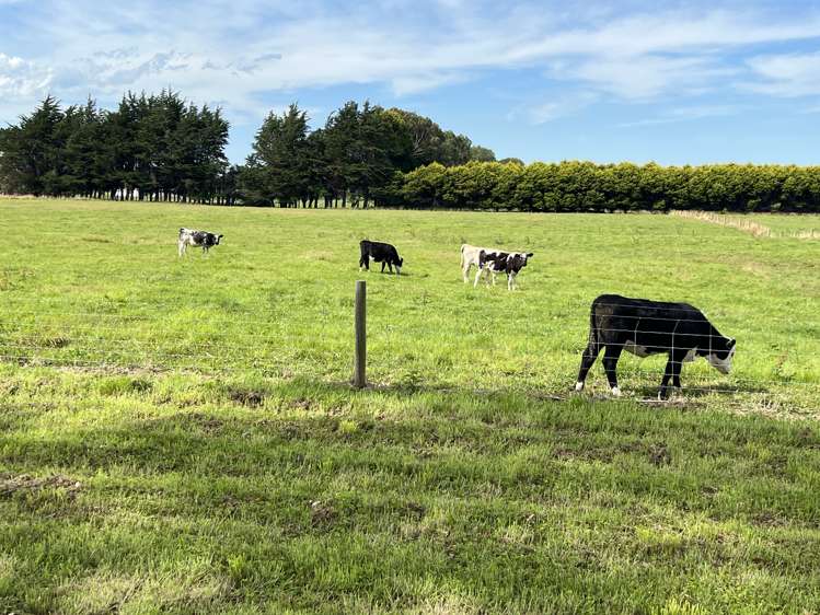 35 McKellar Road Seaward Bush_6