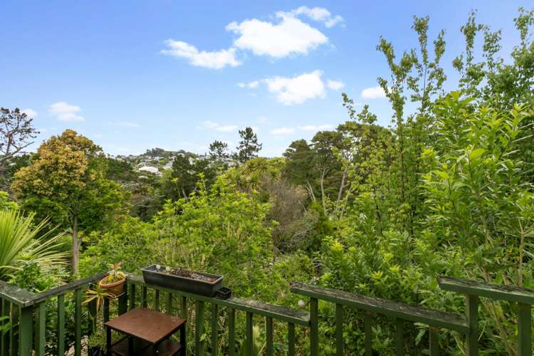 33 Laurie Avenue Parnell_6