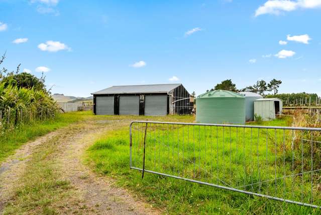 331 South Head Road, South Head Helensville_4