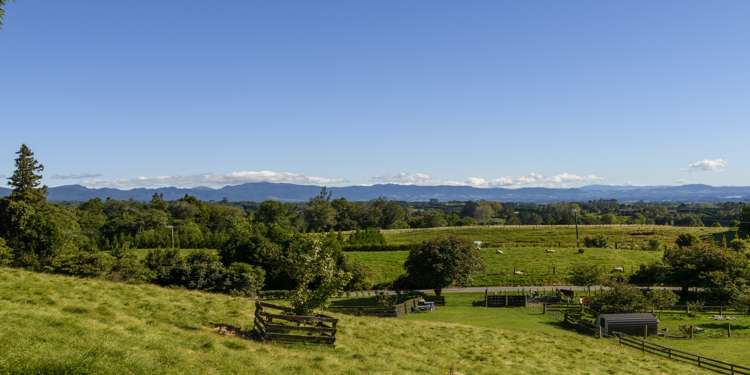 87 Ross Road Whakamarama_6