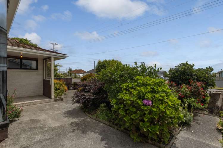 50 Winchester Street Levin_18