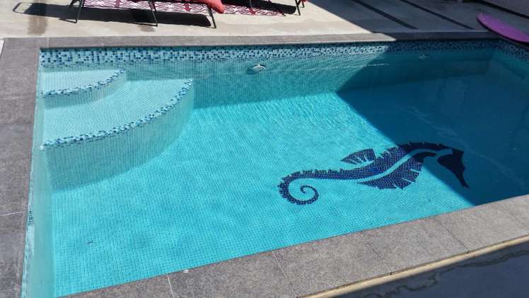 15 Clifton Road Browns Bay_1