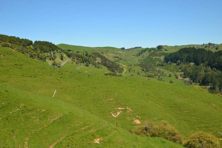 877 Puketawai Road Otorohanga_16