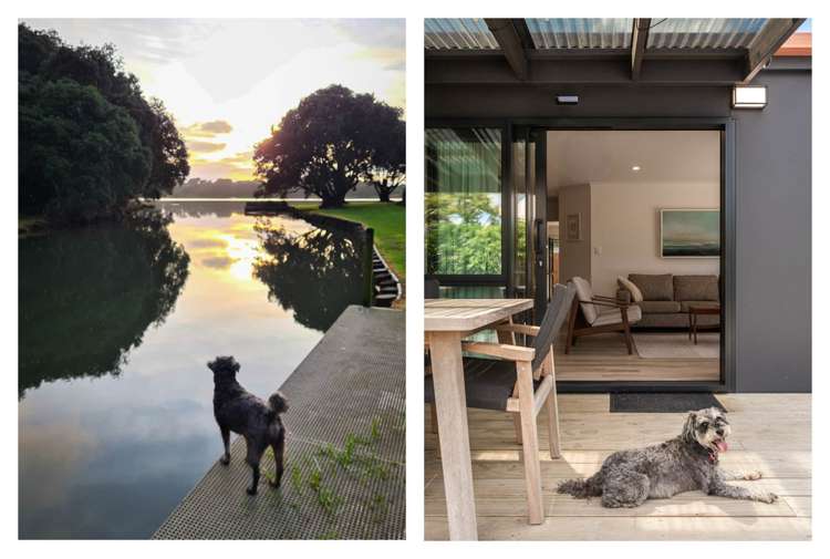 25 Pohutukawa Drive Athenree_49