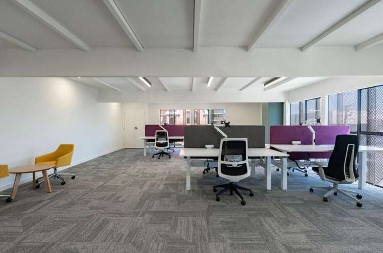 7 Rose Road Grey Lynn_3