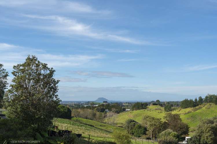 373 Esdaile Road Whakamarama_16