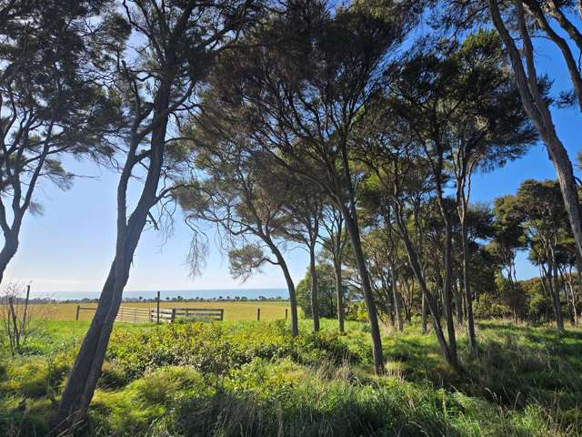 13/600 Conway Flat Road Cheviot_2