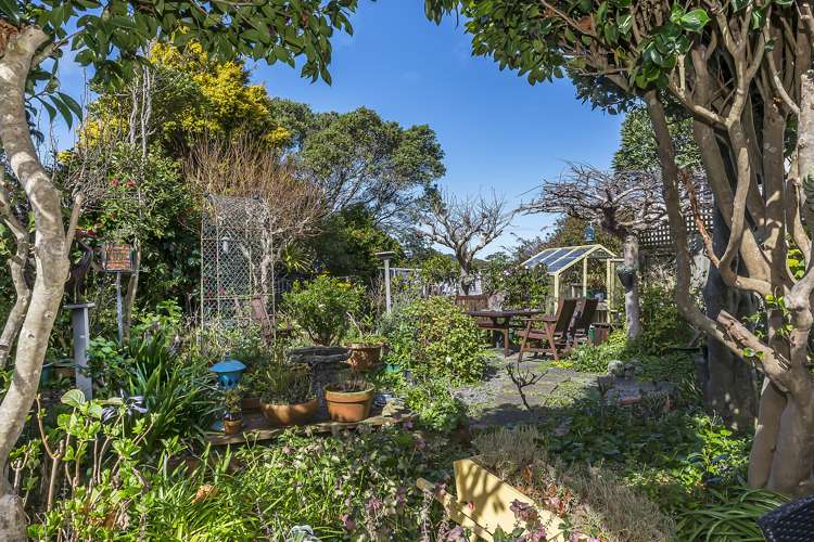 43 Bidwill Street Mount Cook_20