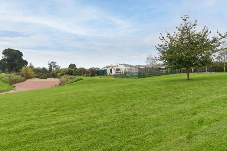 221 Racecourse Road Waipawa_20