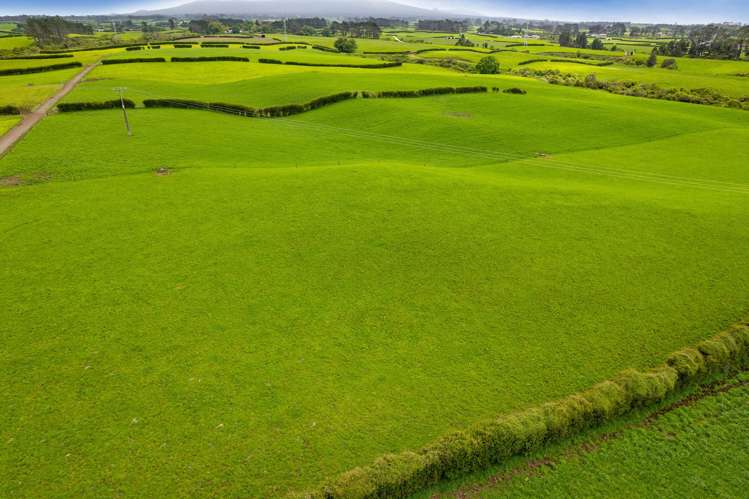 358 Opunake Road Cardiff_8