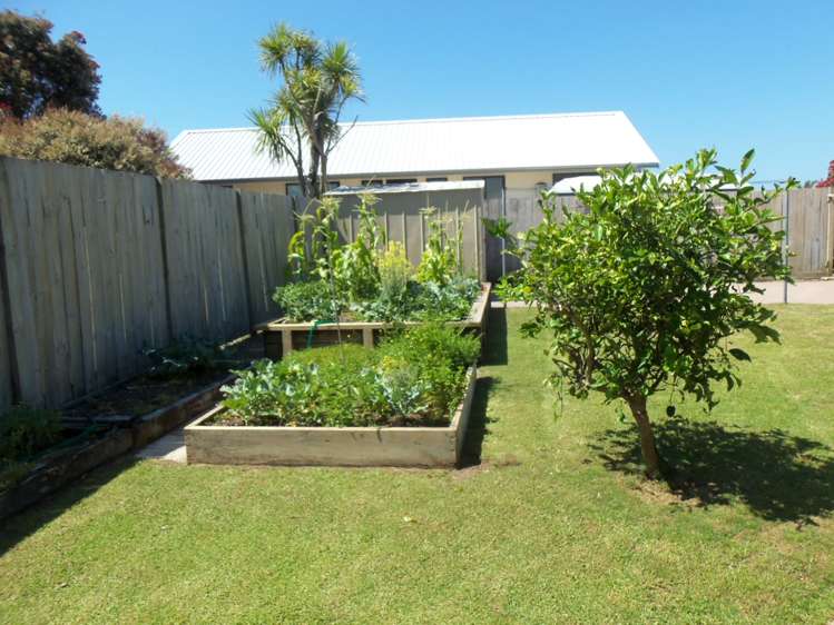 158 The Fairway Matarangi_3