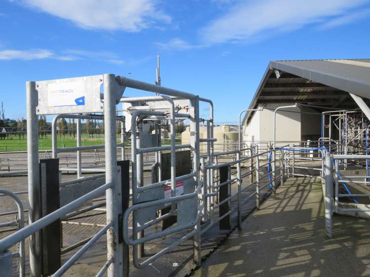 887 Wyndham Road Gore Surrounds_3