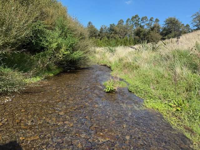 . Tamaki East Road Dannevirke_3