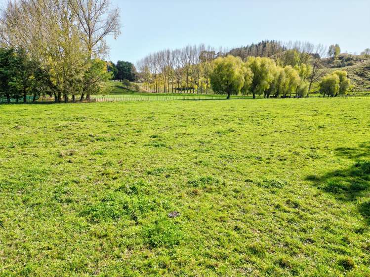 45 Flemington Road Aramoho_6