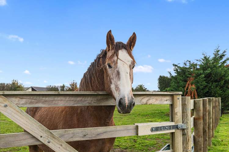 58 Brinkworth Road Tamahere_17