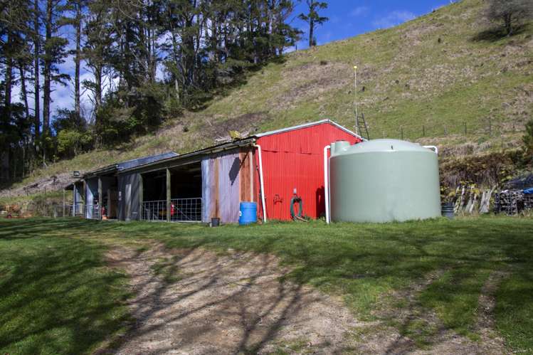 1207 State Highway 33 Okere Falls_22