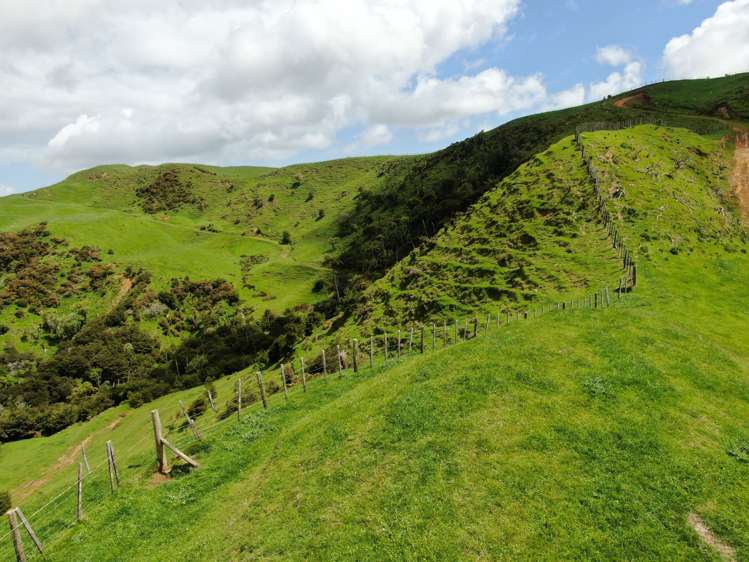 613 Pirongia West Road Oparau_14