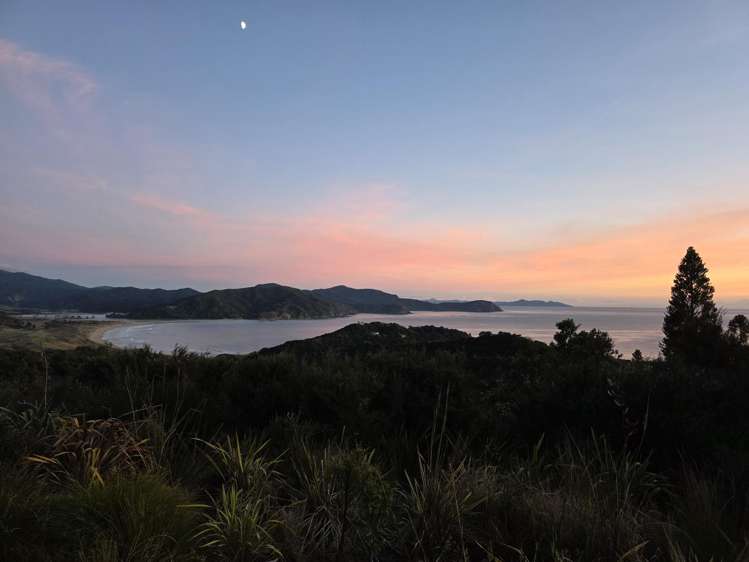 867 Tuateawa Road, Little Bay Tuateawa_20