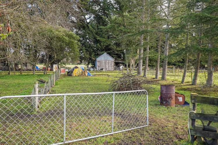 146 Mina Road Cheviot_18