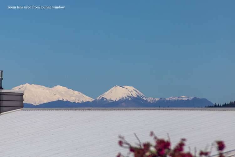 2 Sedge Grove Nukuhau_7