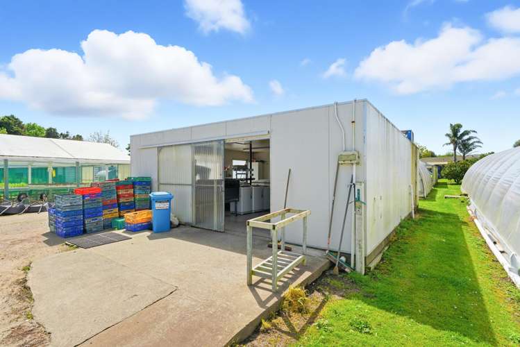 16 Lupton Street Waverley_15