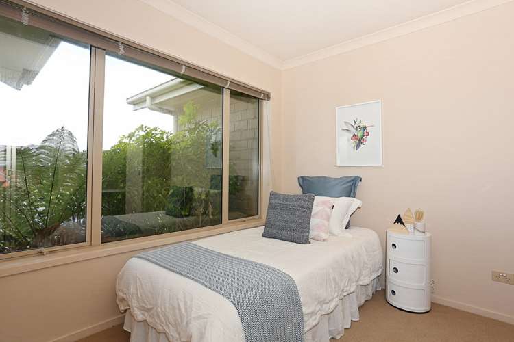 34 Hoffman Court Waikiwi_15