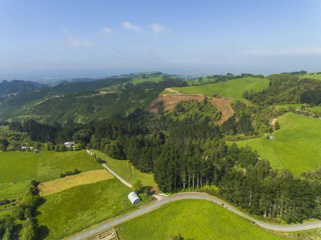 467 Rocky Cutting Road Kaimai_4