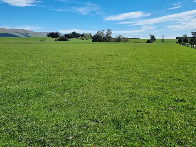 199 Moa Hill Road Clinton and Surrounds_14