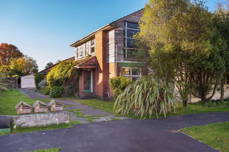 11 Bradshaw Terrace Riccarton_1