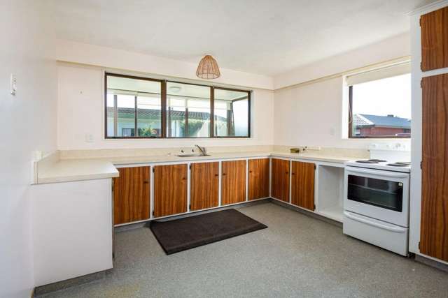 9B Francis Street Blenheim Central_1