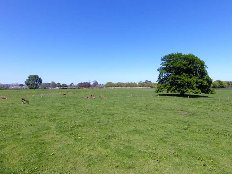 1027 Tauranga Road Te Poi_7