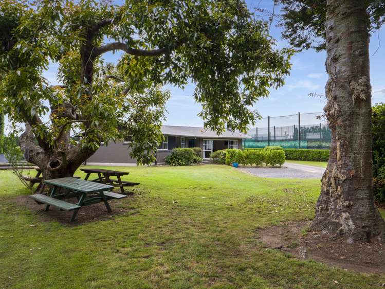 151 Beach Road Katikati_7