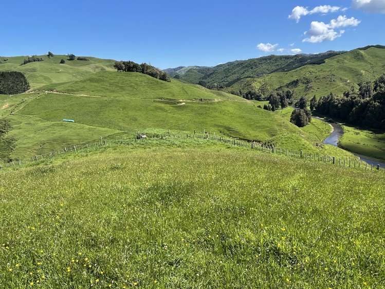 104 Tapuae Road Honikiwi_2