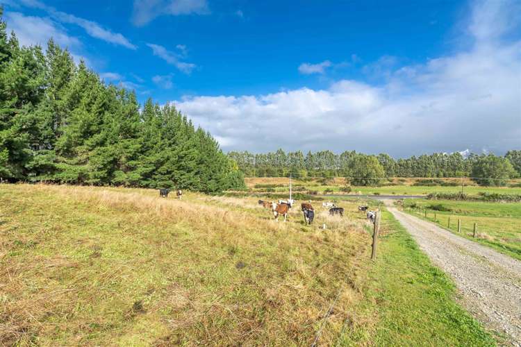 315 Wyndham Road Gore Surrounds_19