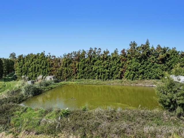 37 Selwyn Road Poroporo_2