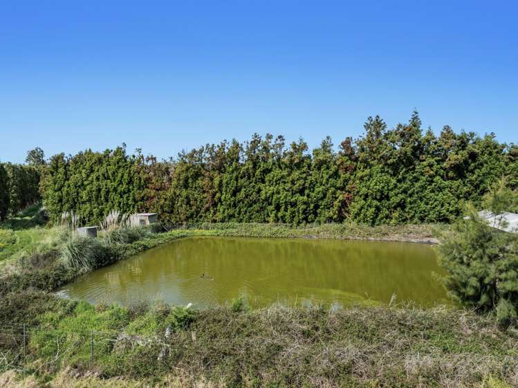 37 Selwyn Road Poroporo_2