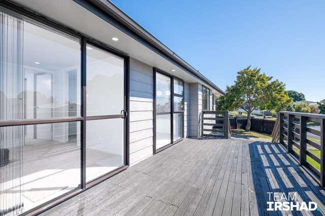 176 Finlayson Avenue Clendon Park_2