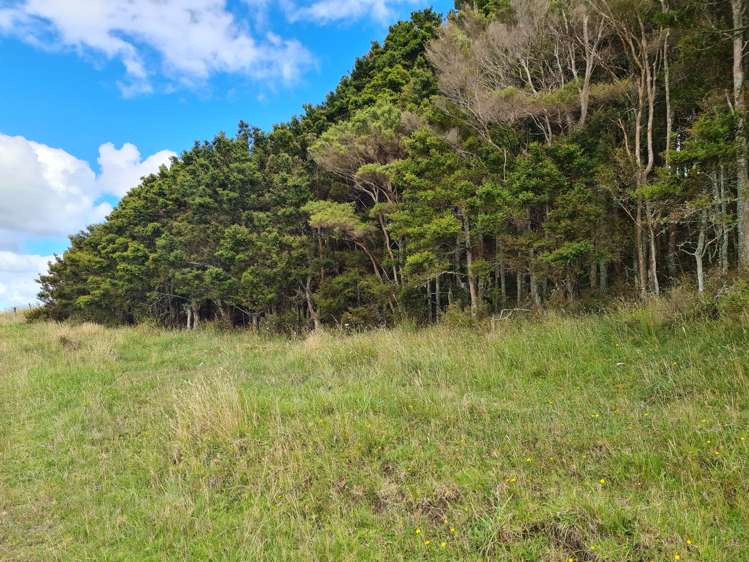 304 Arapaoa Road Tinopai_22