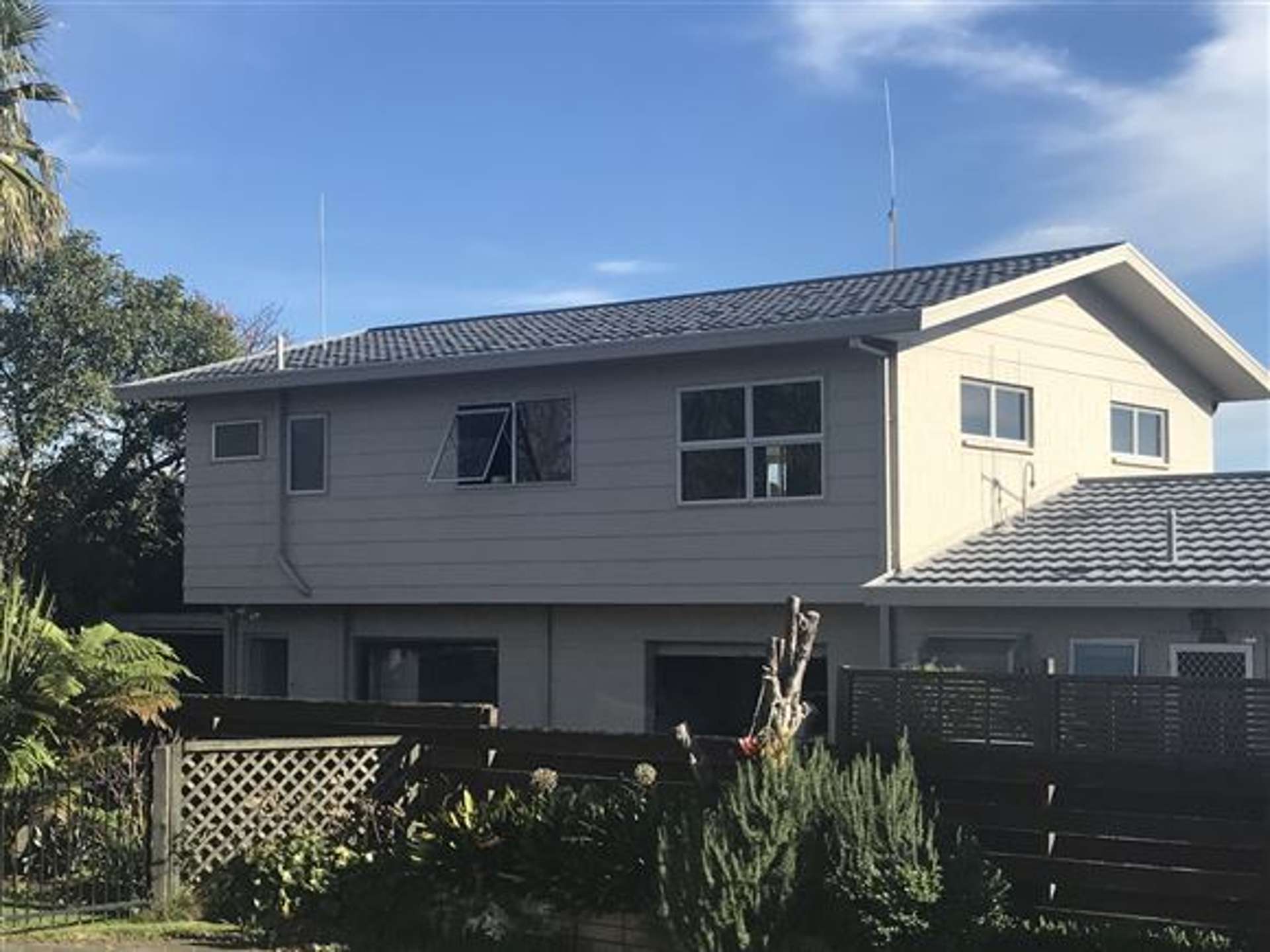 114b Te Hono Street Maungatapu Tauranga Houses for Sale One Roof