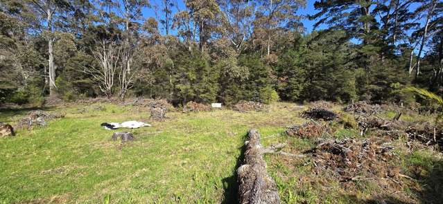 280 Hector Sanderson Road Great Barrier Island_3