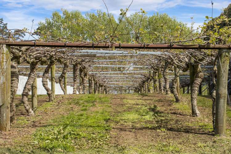 493a Golden Valley Road Waihi_21