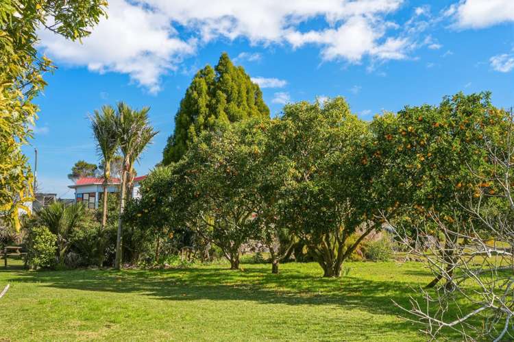 232 Kaimaumau Road Waiharara_29