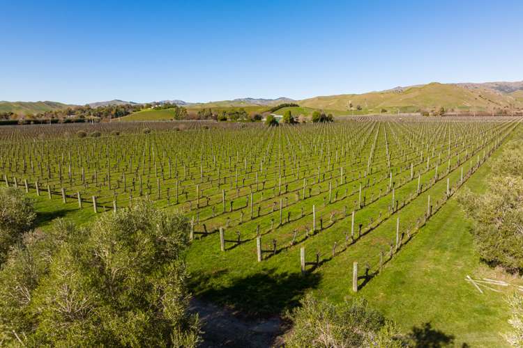 35 Bests Road Fairhall_18