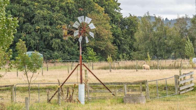 129 Lower Sefton Road Ashley_25