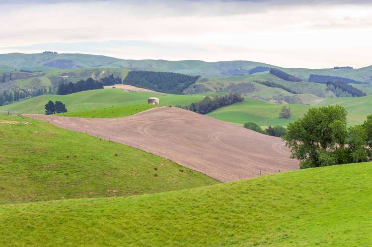 47 Hurunui Mouth Road Domett_24