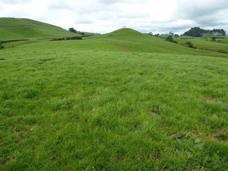 1265 Mountain Road Inglewood_12