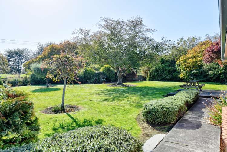 50 Morton Street Edendale_4